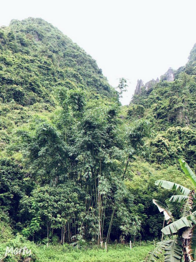 Khuoi Ky Eco Homestay Cao Bang Exterior foto